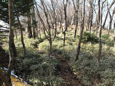 20171207hike (270)